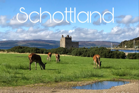 Usbekische Sprache kleiner Sprachenguide Dive Into Culture