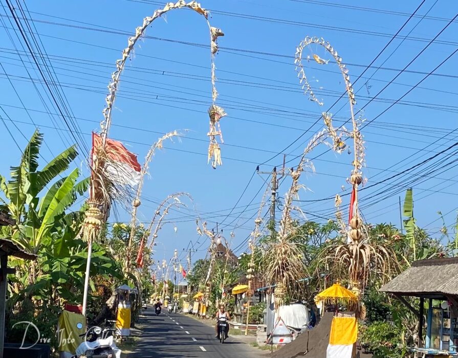 Bali Reise - eine Dorfstraße gesäumt mit Palmen und Bananenstauden sowie zeremoniellen Panjor-Wimpeln und kleinen Altären vor den Familienanwesen.