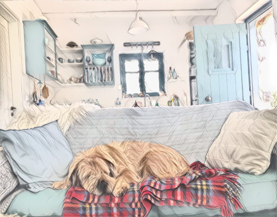 Hygge und Lagom: Hund schläft gemütlich auf Sofa in einem Tinyhaus, das nach skandinavischen Wohnkonzept eingerichtet ist. Einfach, aber ästhetisch.